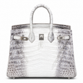 Hermès Kelly 20 Mini Bag – Smooth Leather, Gold Hardware, Top Handle & Shoulder Strap